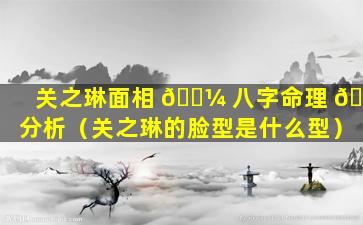 关之琳面相 🌼 八字命理 🐝 分析（关之琳的脸型是什么型）